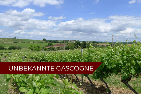 Unbekannte Gascogne Weinseminar | März 2023