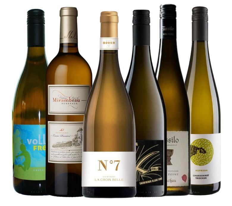 Probierpaket "stoffig & aromatisch"