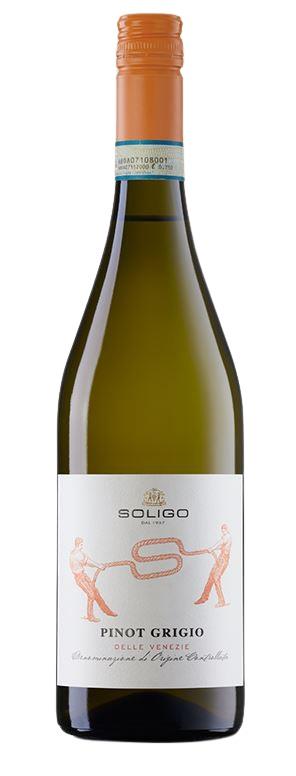 Colli del Soligo 2023 Pinot Grigio