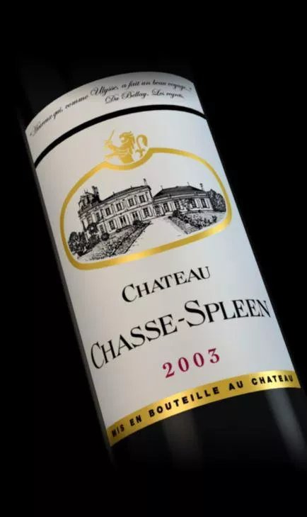 2003 Château Chasse-Spleen Cru Bourgoise AC Moulis-en-Médoc
